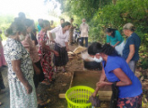 බිම්මල් වගාව සඳහා පුහුණුව